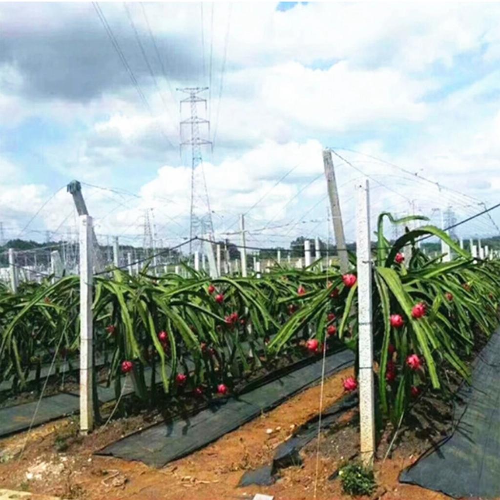 Ing Ткань Ткань для покрытия соломы Садовая ткань для покрытия соломы Барьер