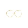Ladies' Earrings Radiant RY000057 Stainless Steel 3 Cm