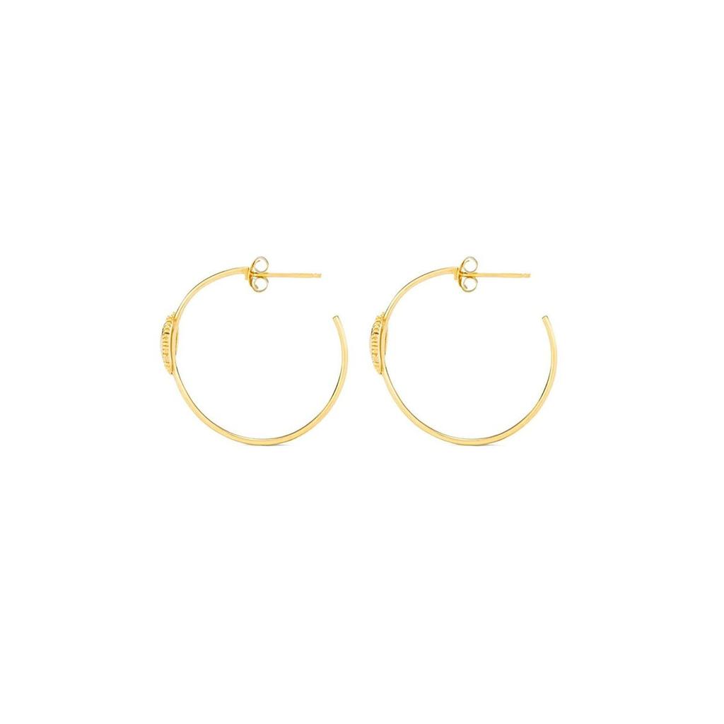 Ladies' Earrings Radiant RY000057 Stainless Steel 3 Cm
