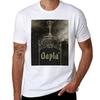 Qapla (Клингонский для успеха) Футболка Повседневная Минималистичная С коротким рукавом Топ
