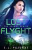 Книга Lost Flyght : 4