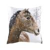 Photo Horse Cushion Cover