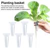 Набор для гидропоники с семенами и корзинами для посадки, более 350 семян, включая базилик, петрушку, кинзу, многоразовые пластиковые корзины, принадлежности для гидропонной посадки