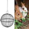 Подвесная кормушка для кур, хомяков, кроликов, мяч для лакомства, овощная гирлянда, держатель для фруктов и птицы с регулируемой высотой, цепь из нержавеющей стали, простая сборка