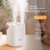 Portable Silent Humidifier: Dual Spray, High Mist Output for Home and Office