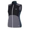 Regatta Womens/Ladies Avidly Softshell Gilet