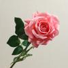 Simulation spring color moisturizing concubine rose, home decoration simulation flower