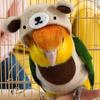 Warm Parrot Cloak Bear Shape Birds Cloth Skin-friendly Parrot Cosplay Prop  Home