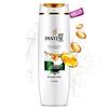 Pantene Pro-V Anti-Dandruff Shampoo
