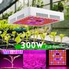 100PCS 300W LED Grow Light Indoor Plants Growing Greenhouse Lighting Hydroponic Full Spectrum For Veg Flower Indoor Plant Seeds