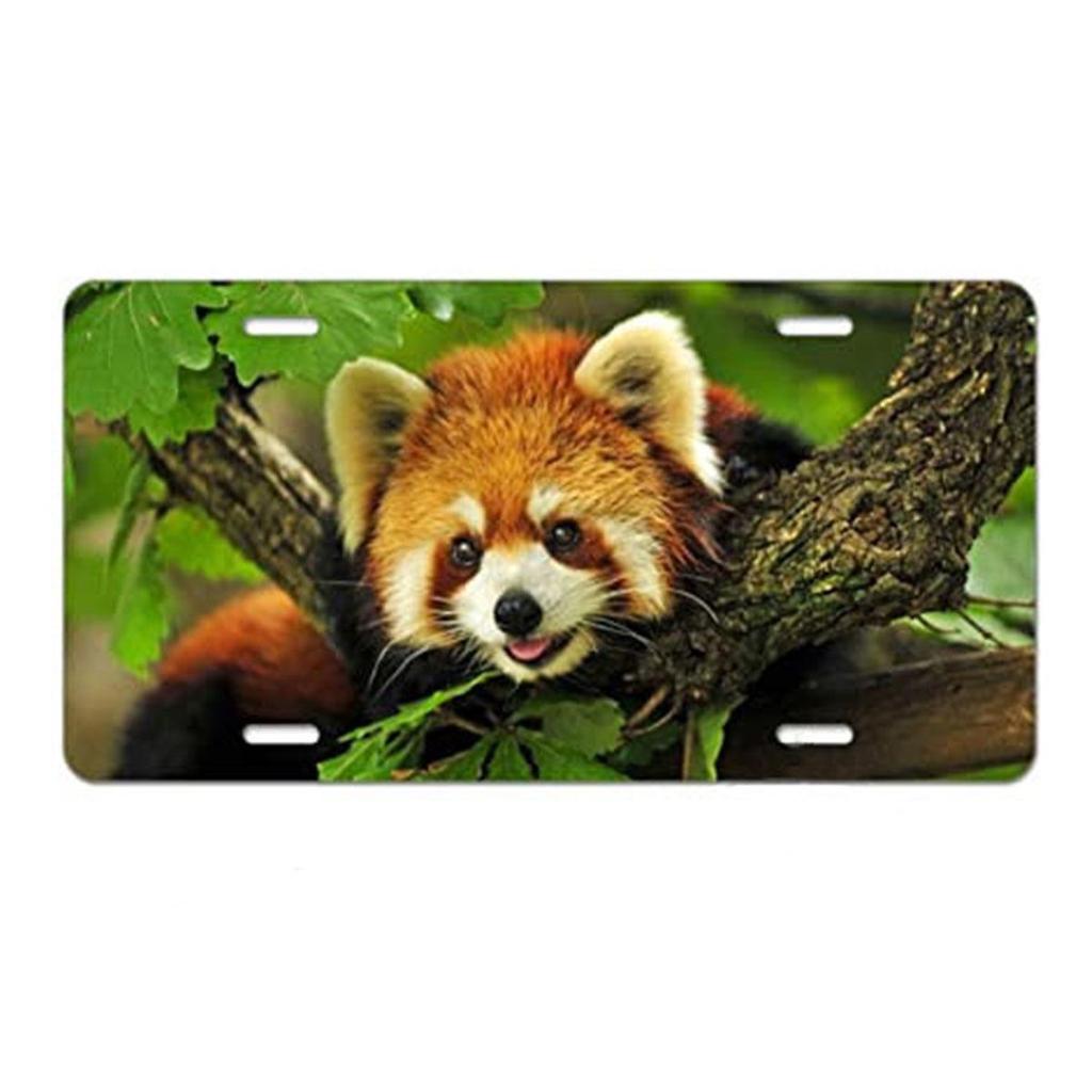 Sublimation Printed US Standard License Plate Metal Sign, 12x6 Inches, Hot-Selling Design