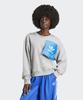 Adidas (X-Ксения) Свитшот с логотипом - Серый / Iw5666