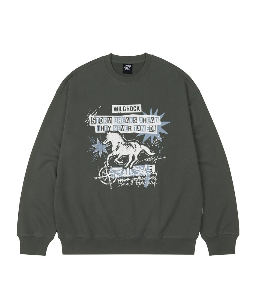 Свободная толстовка WILDROCK Storm Horse_9 Col (Тип B)