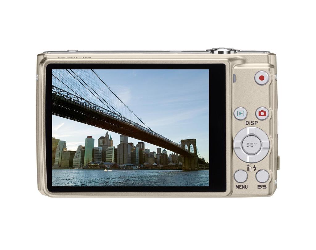 Цифровая камера CASIO EXLIM ZOOM Gold EX-Z250 EX-Z250GD