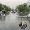 1 пара унисекс бахил для обуви: Водонепроницаемый, Нескользящий, Многоразовый, Прочный, Эластичный и Легко чистится!
