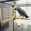 Colorful Beads Rotating Bird Perch Toy Large Size Hanging Bird Stand Durable Parrot Play Rack  DIY