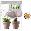 Les Trésors De Lily [R5023] - Window Stickers 'Plants In Pots' Green Gray - 40x30 Cm (2 Rooms)