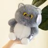 Fluffy Cat Plush Toy Cartoon Cat Stuff Doll Plush Pillow Big Eyes Cat Plush Doll  Friends