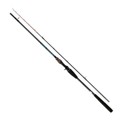 Daiwa Удочка Tenya Tachiuo X 200R для лодки