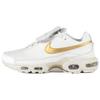 Кроссовки Air Max Plus Tiempo Phantom Metallic Gold Unisex серые HV2541-001