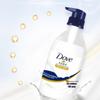 Dove Nourishing Body Wash & Underwear Laundry Detergent Set