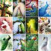 Diamond Painting Full Drill Kit Peacock Mosaic Embroidery Wall Stickers 5D DIY Diamond Art
