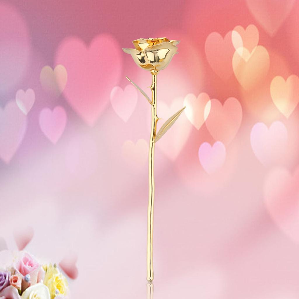 Gold Rose Premium Long Stem Gold Dipped Real Rose Flower Mothers Day Birthday Anniversary Gift