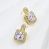 French Light Luxury Zircon Earrings Sweet and High-end Earrings for Women Fashion and Versatile Color-fading Earrings