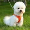 New cat vest-style chest strap dog reflective breathable leash small and medium-sized dog walking leash pet supplies