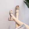 French-style Thick-heeled Sandals Fairy Style 2025 Summer New Mid-heel with High-end Fashion Shoes
