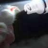 Dog Paw Clippers Rechargeable Cat Paw Sharpener Non-Slip Smoothing Tool for Small Pets Dogs Kittens Rabbits
