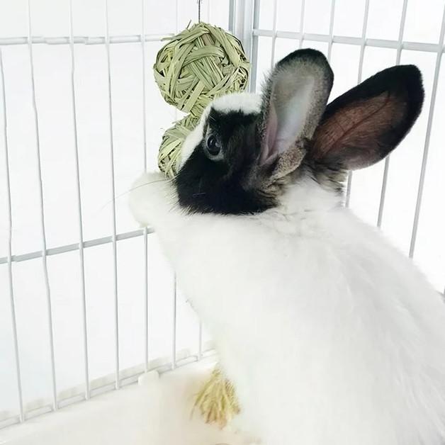 Кролик жевательные игрушки для тепла и зубовНатуральные травяные шарики для кролика, кролика, хомяка, морской свинки, товары для домашних животных