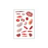 4Sheets Realistic Wound Bruising Tattoo Decals Waterproof Simulated Scar Tattoo Stickers  Cosplay