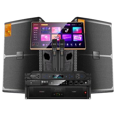 Аудиосистема SANSUI KS3 Pro для KTV, китайская вилка (адаптер в комплекте)