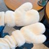 Velvet Winter Gloves Warm Letter Gloves New Plush Gloves  Women