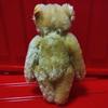 [USED] Steiff Teddy Bear Patsy