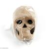 Decorative Object - Skull - Paper Mache - 10 X 7 X 7 Cm - Beige