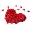 Set of 3,000 Artificial Rose Petals for Flower Showers, Proposals, Weddings, Receptions, Birthdays, Celebrations, Christmas, and Parties (3,000 Red Pe