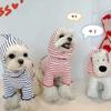 Luxury Dog Sweater Knitted Dog Coat Pet Dog Hoodies Striped Dog Clothes Chihuahua Dachshund Dog Costume Autumn Winter Sweaters