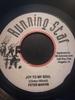 7-дюймовая пластинка PETER MARVIN Joy To My Soul NONE Running Star Ямайка Регги Ска Даб Б/у