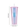 710ml Plastic Straw Cup Drinking Cup Double-Walled Water Tumbler with Lid Bubble Tea Cup Large Capacity for Home & Outdoor