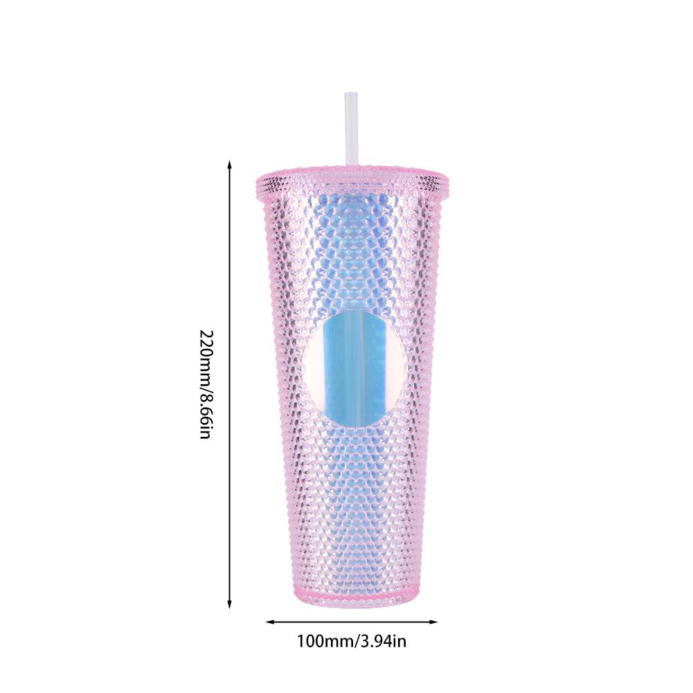 710ml Plastic Straw Cup Drinking Cup Double-Walled Water Tumbler with Lid Bubble Tea Cup Large Capacity for Home & Outdoor