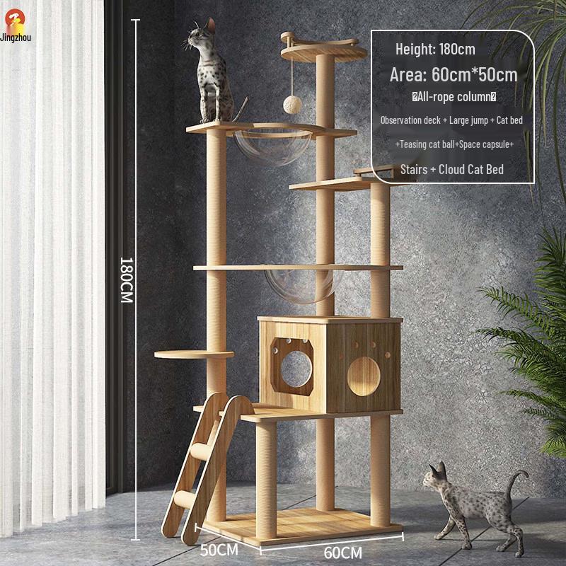 Jingzhou Multi-Level Cat Tree & Activity Center