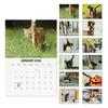 2026 Cat Buttholes Calendar 2026 Funny Cat 12 Monthly Wall Calendar Jan To Dec High-Definition Cat Photography