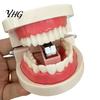 Creative Office Supplies Funny Teeth Shaped Mini Stapler, Cute Dental Mold Paper Themed Gifts Fastener, Binding Tool for Dentists And Students Dentist