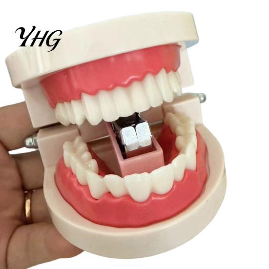 Creative Office Supplies Funny Teeth Shaped Mini Stapler, Cute Dental Mold Paper Themed Gifts Fastener, Binding Tool for Dentists And Students Dentist
