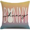 New Easter Cartoon Rabbit Pillowcase Spring Outdoor Decoration Pillow Sofa Cushion Pillow Case