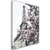 Canvas Print Eiffel Tower and Magnolias