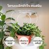 HeartShaped Metal Climbing structure Trellis, Iron Frame for Potted Monstera & Dioscorea,