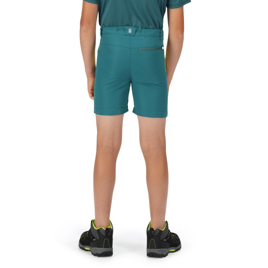 Regatta Childrens/Kids Sorcer II Mountain Shorts
